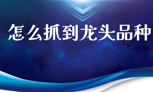 怎么抓到龙头品种_https://m.qdlswl.com_恒指在线直播间_第1张