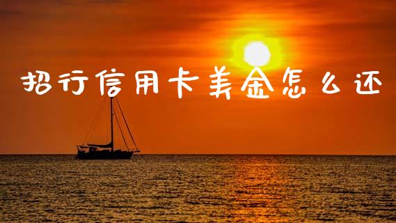 招行信用卡美金怎么还_https://m.qdlswl.com_纳指直播_第1张