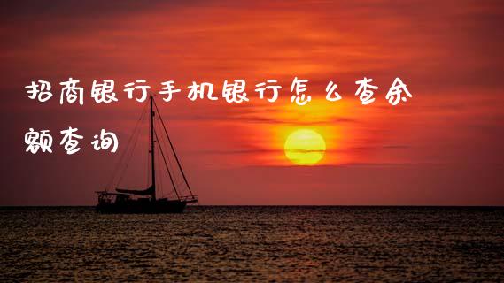 招商银行手机银行怎么查余额查询_https://m.qdlswl.com_纳指直播_第1张