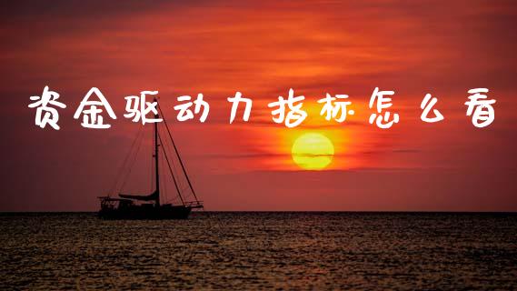 资金驱动力指标怎么看_恒指德指直播室_第1张_恒生指数直播喊单_恒指在线直播间_恒指德指直播室_纳指直播 资金驱动力指标怎么看_https://m.qdlswl.com_恒指德指直播室_第1张