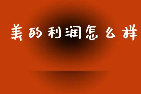 美的利润怎么样_https://m.qdlswl.com_纳指直播_第1张