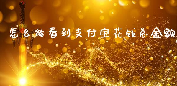 怎么能看到支付宝花钱总金额_https://m.qdlswl.com_恒指德指直播室_第1张