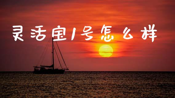 灵活宝1号怎么样_https://m.qdlswl.com_恒生指数直播喊单_第1张