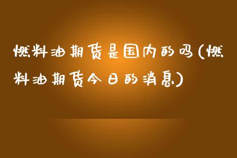 燃料油期货是国内的吗(燃料油期货今日的消息)_https://m.qdlswl.com_恒指在线直播间_第1张