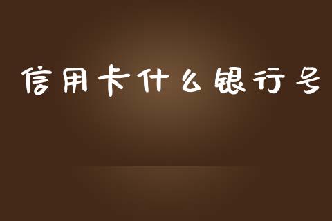 信用卡什么银行号_https://m.qdlswl.com_恒指德指直播室_第1张