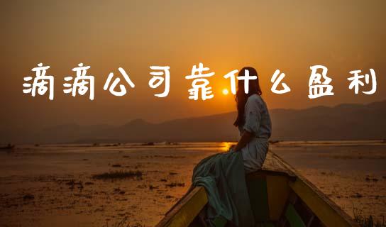 滴滴公司靠什么盈利_https://m.qdlswl.com_纳指直播_第1张