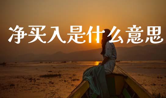 净买入是什么意思_https://m.qdlswl.com_恒指在线直播间_第1张