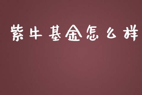 紫牛基金怎么样_https://m.qdlswl.com_恒指在线直播间_第1张