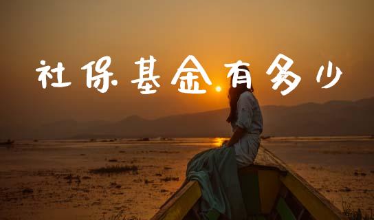 社保基金有多少_https://m.qdlswl.com_纳指直播_第1张