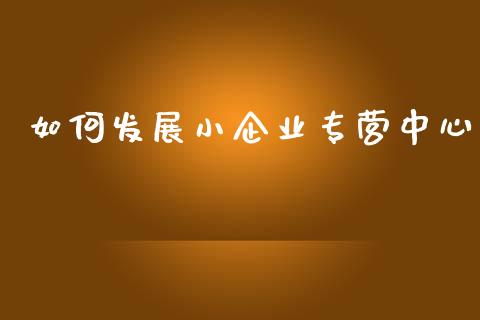 如何发展小企业专营中心_https://m.qdlswl.com_恒生指数直播喊单_第1张