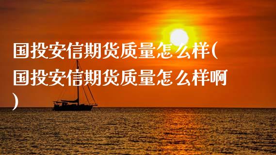 国投安信期货质量怎么样(国投安信期货质量怎么样啊)_https://m.qdlswl.com_恒指德指直播室_第1张