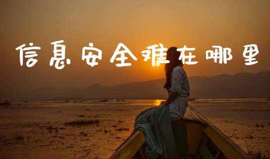 信息安全难在哪里_https://m.qdlswl.com_纳指直播_第1张