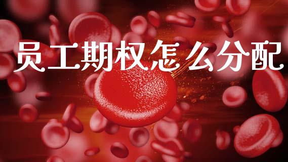 员工期权怎么分配_https://m.qdlswl.com_恒生指数直播喊单_第1张