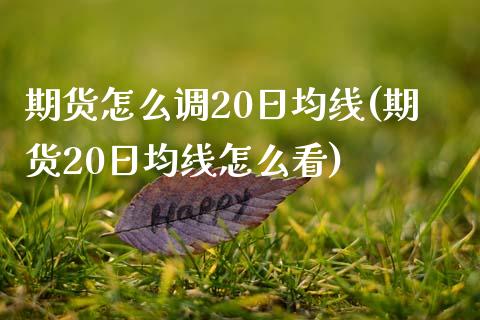 期货怎么调20日均线(期货20日均线怎么看)_https://m.qdlswl.com_恒指德指直播室_第1张