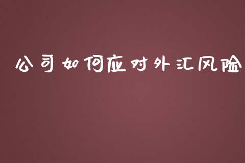 公司如何应对外汇风险_https://m.qdlswl.com_纳指直播_第1张