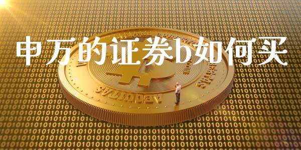 申万的证券b如何买_https://m.qdlswl.com_恒生指数直播喊单_第1张