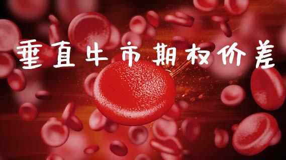 垂直牛市期权价差_https://m.qdlswl.com_恒生指数直播喊单_第1张