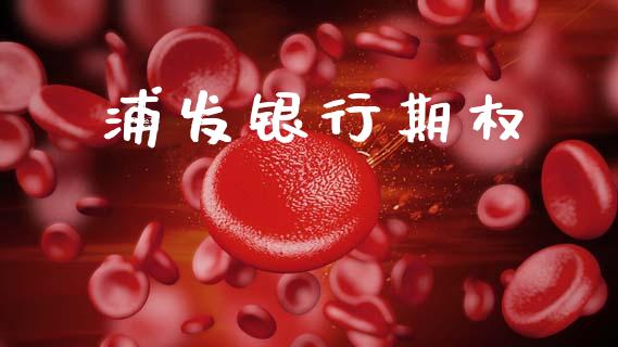 浦发银行期权_https://m.qdlswl.com_恒指在线直播间_第1张