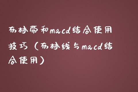 布林带和macd结合使用技巧（布林线与macd结合使用）_https://m.qdlswl.com_恒指德指直播室_第1张
