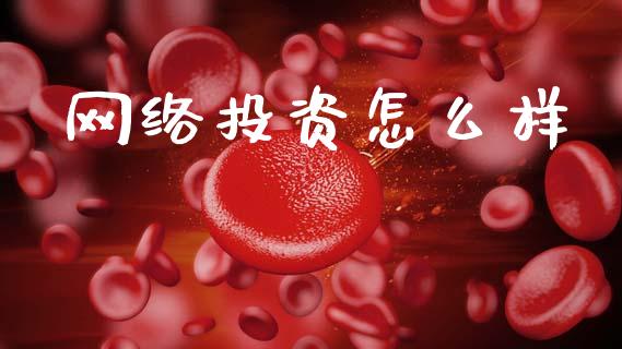 网络投资怎么样_https://m.qdlswl.com_恒生指数直播喊单_第1张