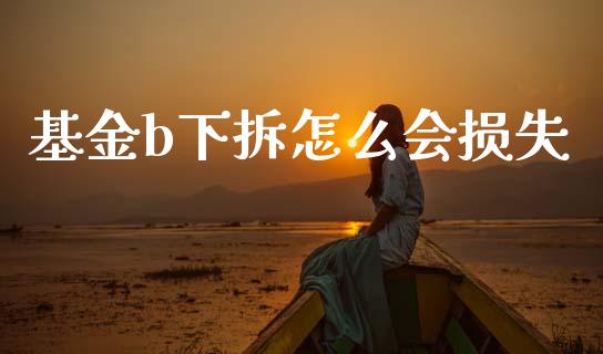 基金b下拆怎么会损失_https://m.qdlswl.com_恒指德指直播室_第1张