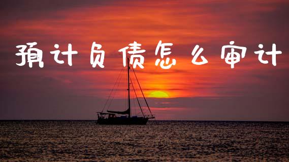 预计负债怎么审计_https://m.qdlswl.com_纳指直播_第1张