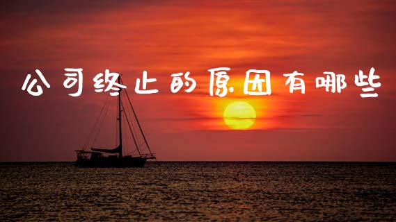 公司终止的原因有哪些_https://m.qdlswl.com_纳指直播_第1张