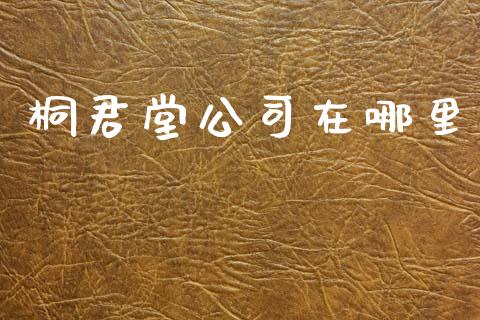 桐君堂公司在哪里_https://m.qdlswl.com_纳指直播_第1张