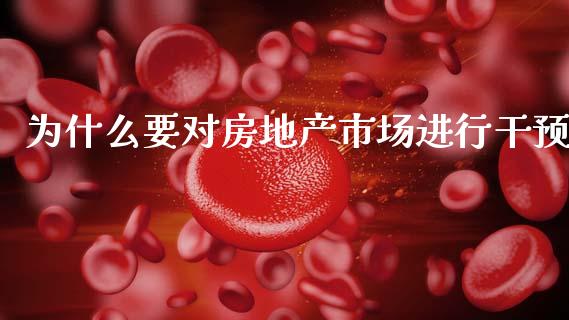 为什么要对房地产市场进行干预_https://m.qdlswl.com_恒指德指直播室_第1张