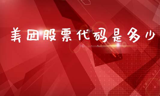 美团股票代码是多少_https://m.qdlswl.com_恒生指数直播喊单_第1张