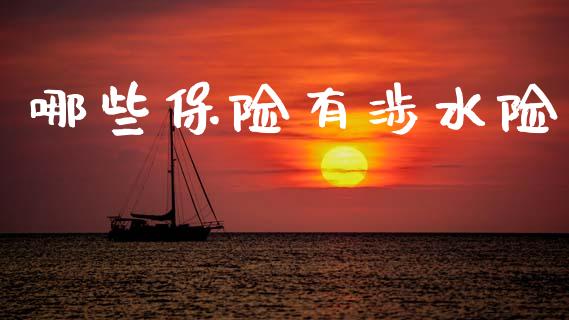 哪些保险有涉水险_https://m.qdlswl.com_恒指在线直播间_第1张