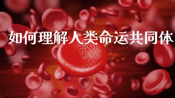 如何理解人类命运共同体_https://m.qdlswl.com_恒指德指直播室_第1张