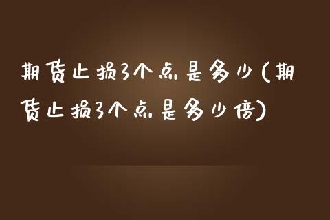 期货止损3个点是多少(期货止损3个点是多少倍)_https://m.qdlswl.com_恒生指数直播喊单_第1张