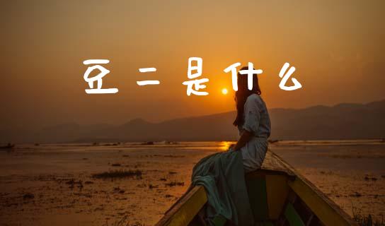 豆二是什么_https://m.qdlswl.com_恒指德指直播室_第1张