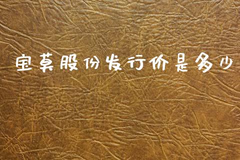 宝莫股份发行价是多少_https://m.qdlswl.com_恒生指数直播喊单_第1张