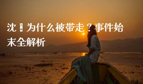 沈灏为什么被带走？事件始末全解析_https://m.qdlswl.com_恒生指数直播喊单_第1张