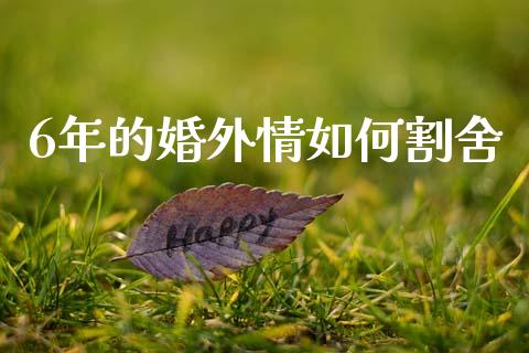 6年的婚外情如何割舍_https://m.qdlswl.com_恒生指数直播喊单_第1张