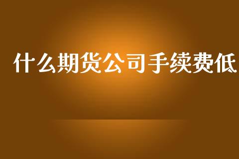 什么期货公司手续费低_https://m.qdlswl.com_纳指直播_第1张
