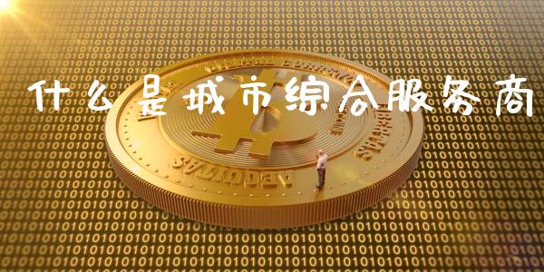 什么是城市综合服务商_https://m.qdlswl.com_恒指德指直播室_第1张