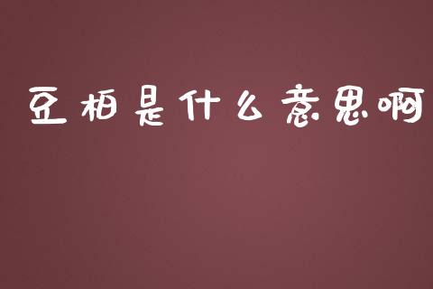豆柏是什么意思啊_https://m.qdlswl.com_恒生指数直播喊单_第1张