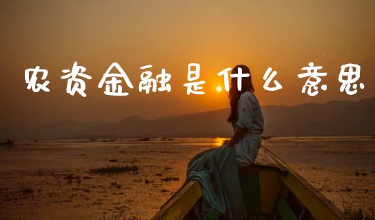 农资金融是什么意思_https://m.qdlswl.com_恒指在线直播间_第1张