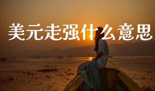 美元走强什么意思_https://m.qdlswl.com_恒指在线直播间_第1张