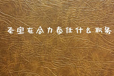 圣宝在合力泰任什么职务_https://m.qdlswl.com_恒生指数直播喊单_第1张