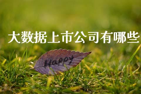 大数据上市公司有哪些_https://m.qdlswl.com_纳指直播_第1张