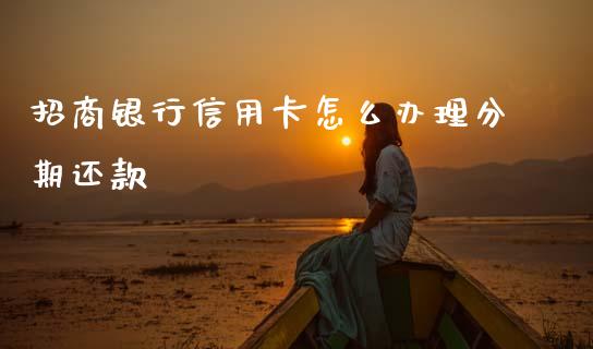 招商银行信用卡怎么办理分期还款_https://m.qdlswl.com_恒指德指直播室_第1张