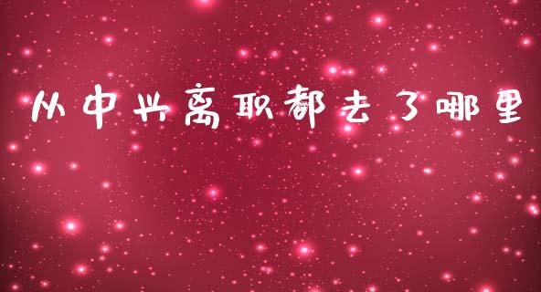 从中兴离职都去了哪里_https://m.qdlswl.com_恒生指数直播喊单_第1张