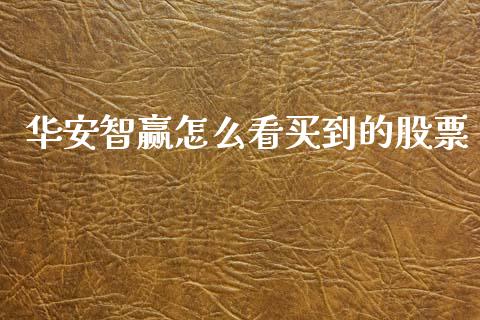 华安智赢怎么看买到的股票_https://m.qdlswl.com_恒指德指直播室_第1张