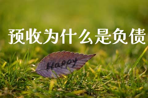 预收为什么是负债_https://m.qdlswl.com_恒指在线直播间_第1张