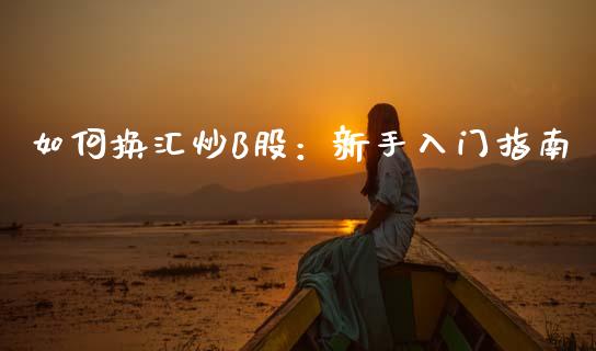 如何换汇炒B股：新手入门指南_https://m.qdlswl.com_纳指直播_第1张