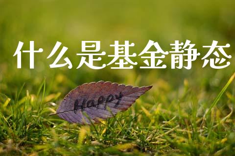 什么是基金静态_https://m.qdlswl.com_恒生指数直播喊单_第1张